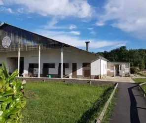 club_hippique_le_mans