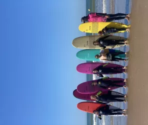 LES ROBINS DES VAGUES