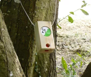 ©MairieDeGrandchamp