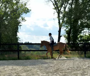 ©Ecurieslesjoulaires