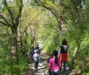 ©Château de la Turmelière