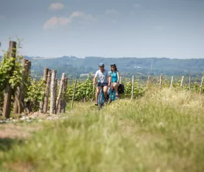 Vallée du Loir - JP Berlose