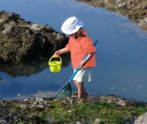 Pays de Saint Gilles Croix de Vie
