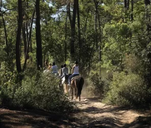 Club Hippique du Havre de Vie