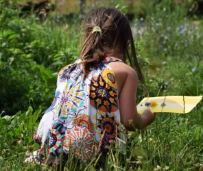FERME PÉDAGOGIQUE DE SERGONNE