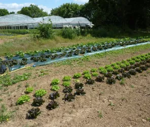 ©Jardins-Coccinelle