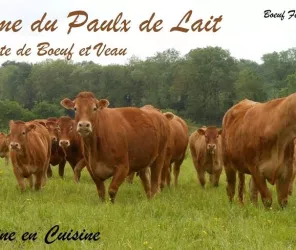 ©Ferme-Paulx-de-lait