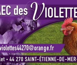 ©GAEC-Violettes