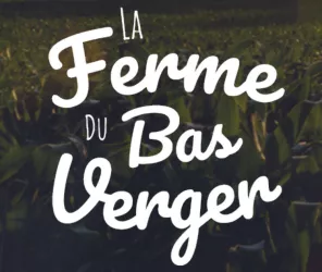 ©Ferme-Bas-Verger