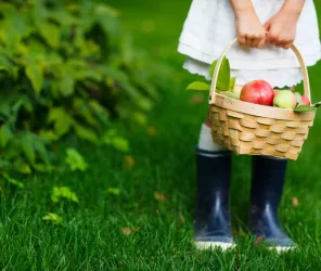 Ferme de la Chebuette