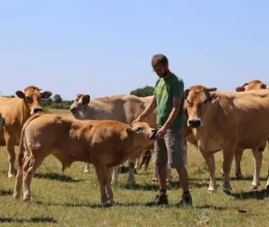 La ferme des vertes prairies