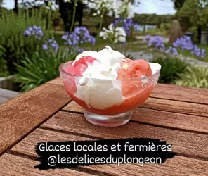 ©les delices du plongeon