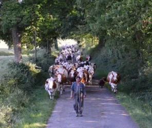 ©ferme-de-la-fouardière