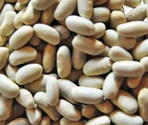 PATRICK OLIVIER EARL LA COMBE