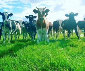 © Gaec la Haute Roue 