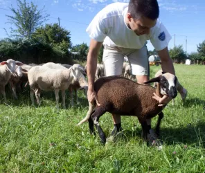 Pascal Gréboval-http://www.pascalphotographe.fr