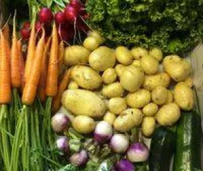 © Guidault maraichage