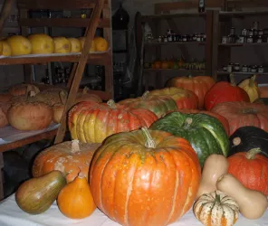 courges et confitures