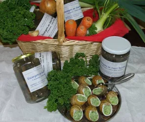 Anke Neupert-Leboucher