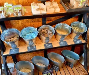 copyright - crédit photos la perle d'or