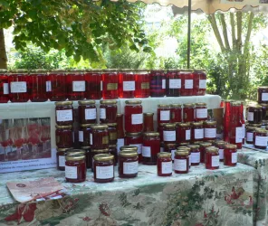 La Roseraie de Vendée