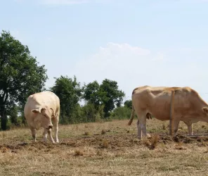 Office de Tourisme Vie et Boulogne