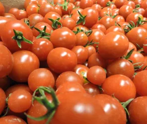 Office de Tourisme Vie et Boulogne