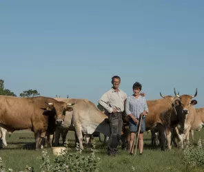 Tout droits réservés