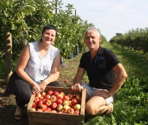 © Communauté de Communes du Pays de la Châtaigneraie