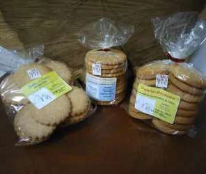 Sœurs du Carmel de Luçon