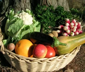 Ferme du P'tit Pierrot