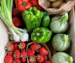 Le jardin du bout du chemin