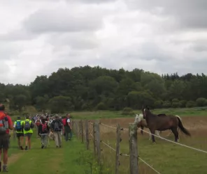 OT entre Brière et Canal