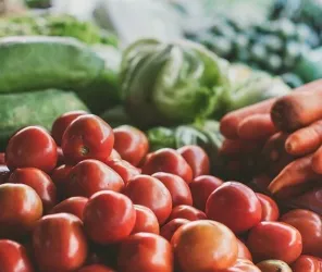 OT entre Brière et Canal