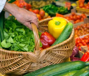 Office de tourisme entre Brière et Canal