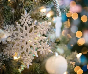 Pixabay/Jillwellington