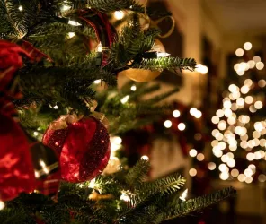 Tessa Rampersad - unsplash