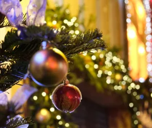 Andreas Fickl - Unsplash