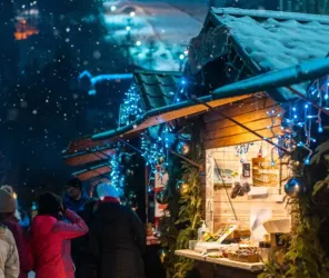 ©Image libre de droit Canva