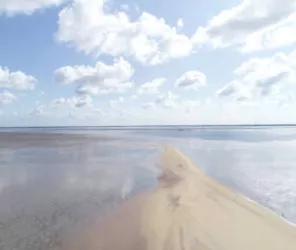 RNN Baie de l'Aiguillon