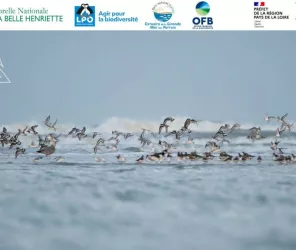 Cassandre Blondel RNN BH