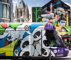 Thierry Bonnet - Ville d'Angers