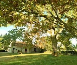 ©Douay de Faultrier