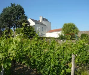 © Gîte tout lui faut 