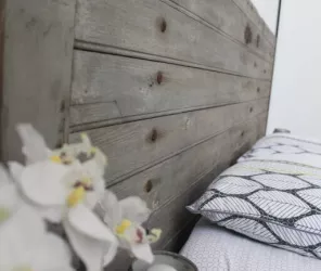 Delphine LEFORT- SOULARD