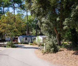 Copyrith : camping Parfums d'Eté