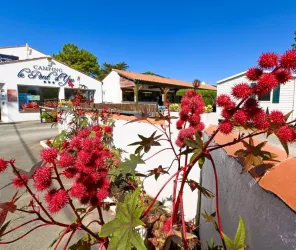 Camping le Pont d'Yeu