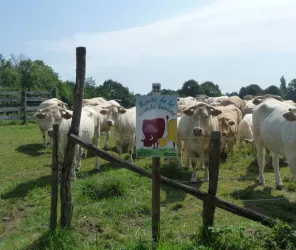 ©CDC Maine Saosnois