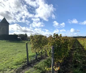 Aude Genevaise - SPL SVLT