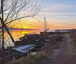 Simon El Helou - SPL SVLT